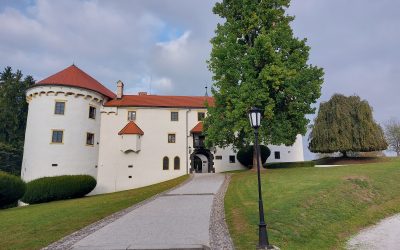 Grad Bogenšperk in rusko-slovenski center