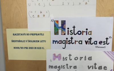 “Historia magistra vita est.”