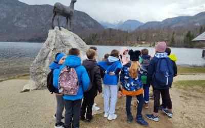ŠVN_Bohinj-Vogel_3.dan