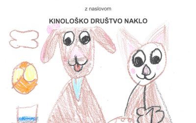 Mladi raziskovalki zgodovine